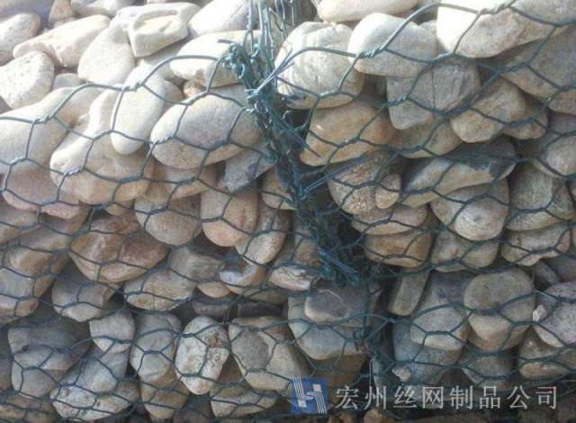綠濱籠--03